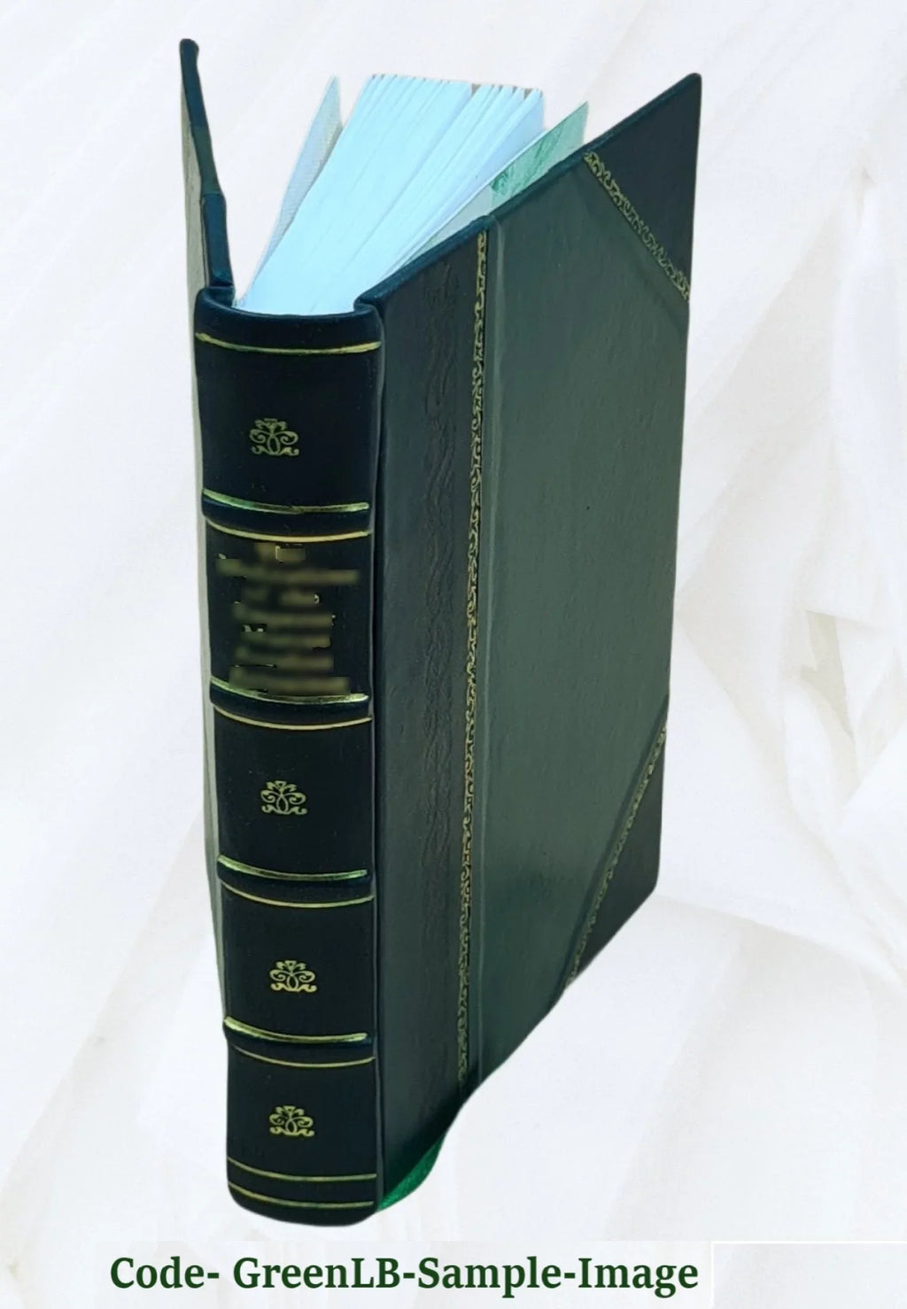 1926 [Leather Bound]. Le pêcheur d'ombres