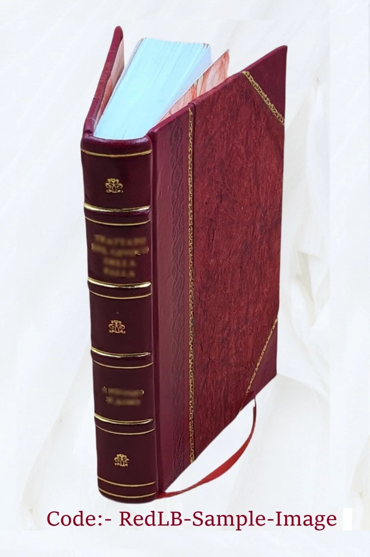 1914 [Leather Bound]. Marcuse. Through Western Madagascar in quest of the golden bean / by Walter D